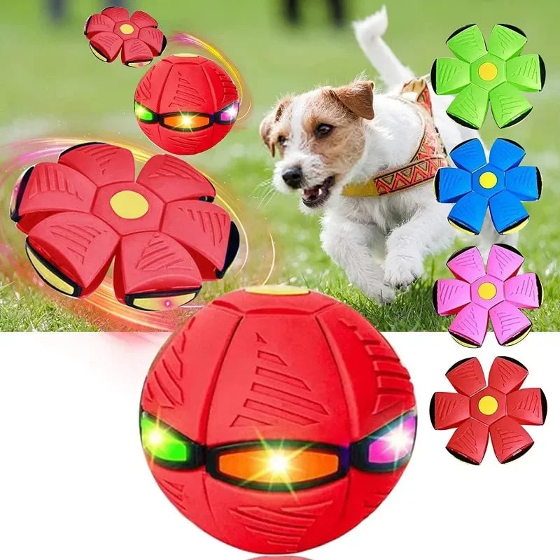 Pet Magic Flying Saucer Ball
