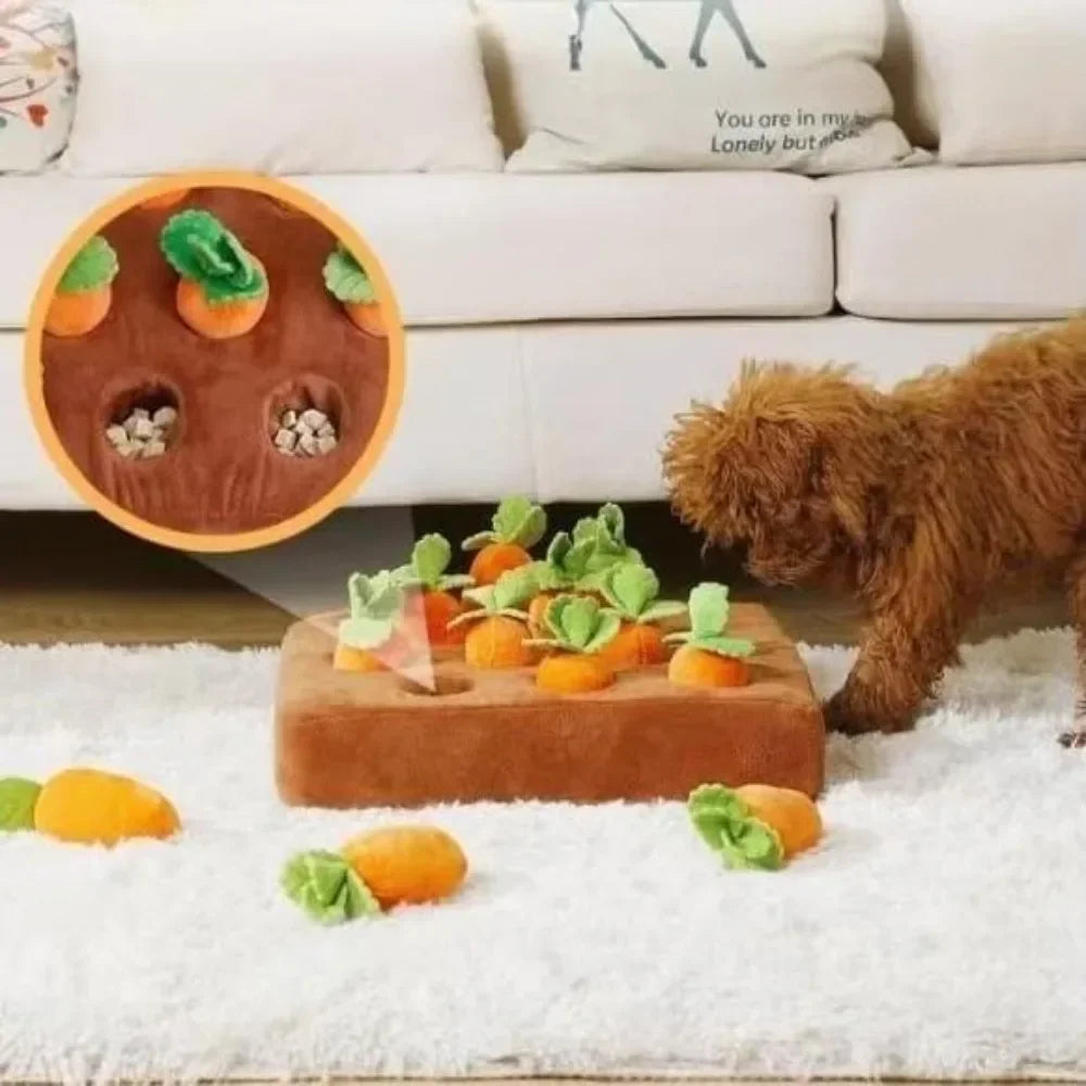 Carrot Snuffle Mat for Pet